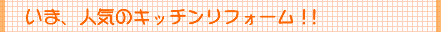 �l�C�̃L�b�`�����t�H�[���w���a�x