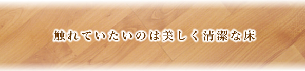 触れていたいのは美しく清潔な床